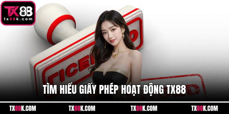 Tìm hiểu giấy phép hoạt động TX88